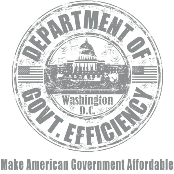 Dept of Govt Efficiency Thumbnail